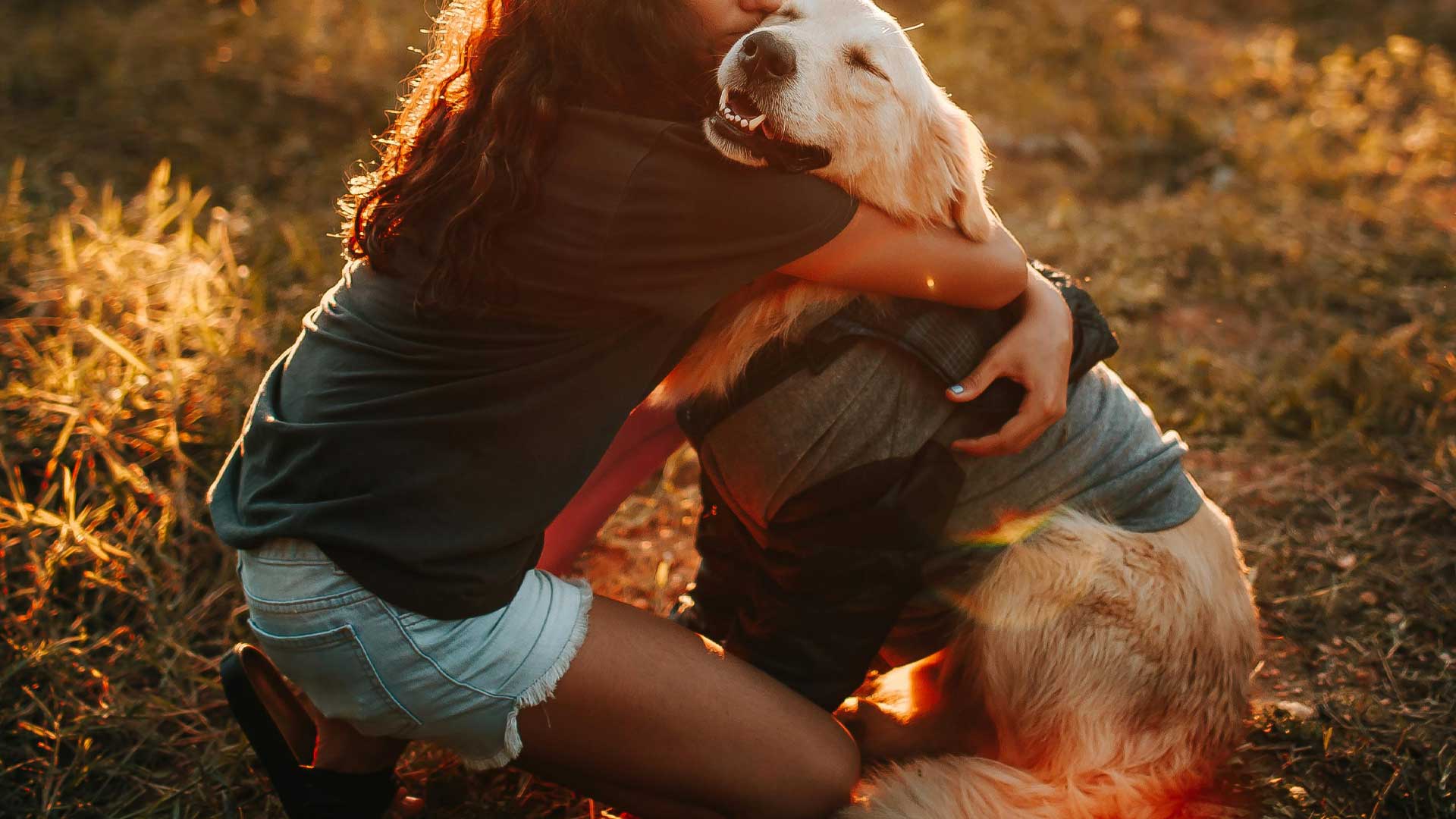 Person sitting on the ground with a dog in a field during sunset