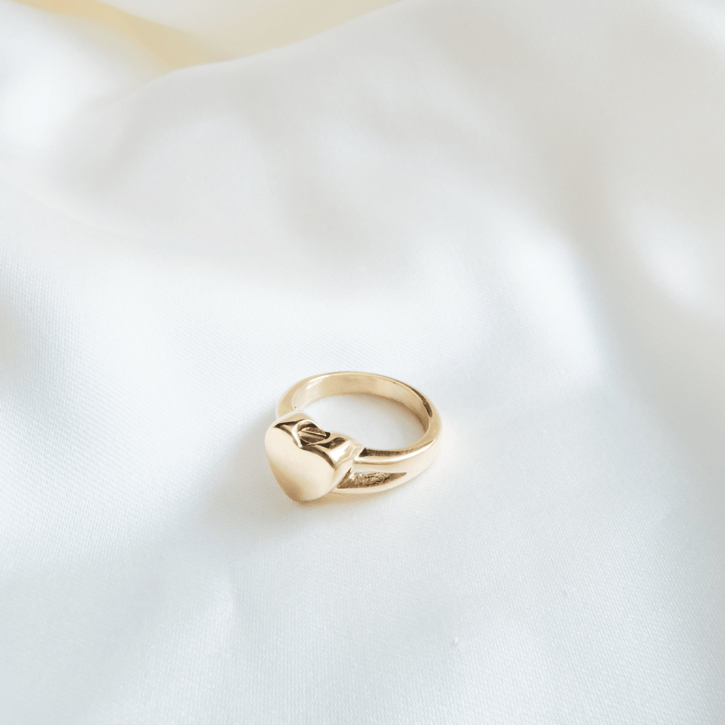 Ashes Ring Heart Stainless Steel Gold & Silver - Ashes Jewellery AE