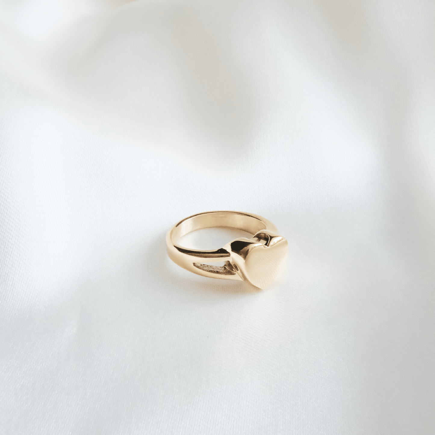 Ashes Ring Heart Stainless Steel Gold & Silver - Ashes Jewellery AE