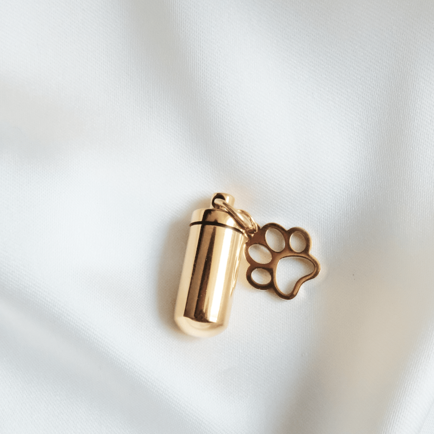 Gold Cylinder Pet Memorial Ashes Necklace with Paw Print - Ashes Jewellery AE