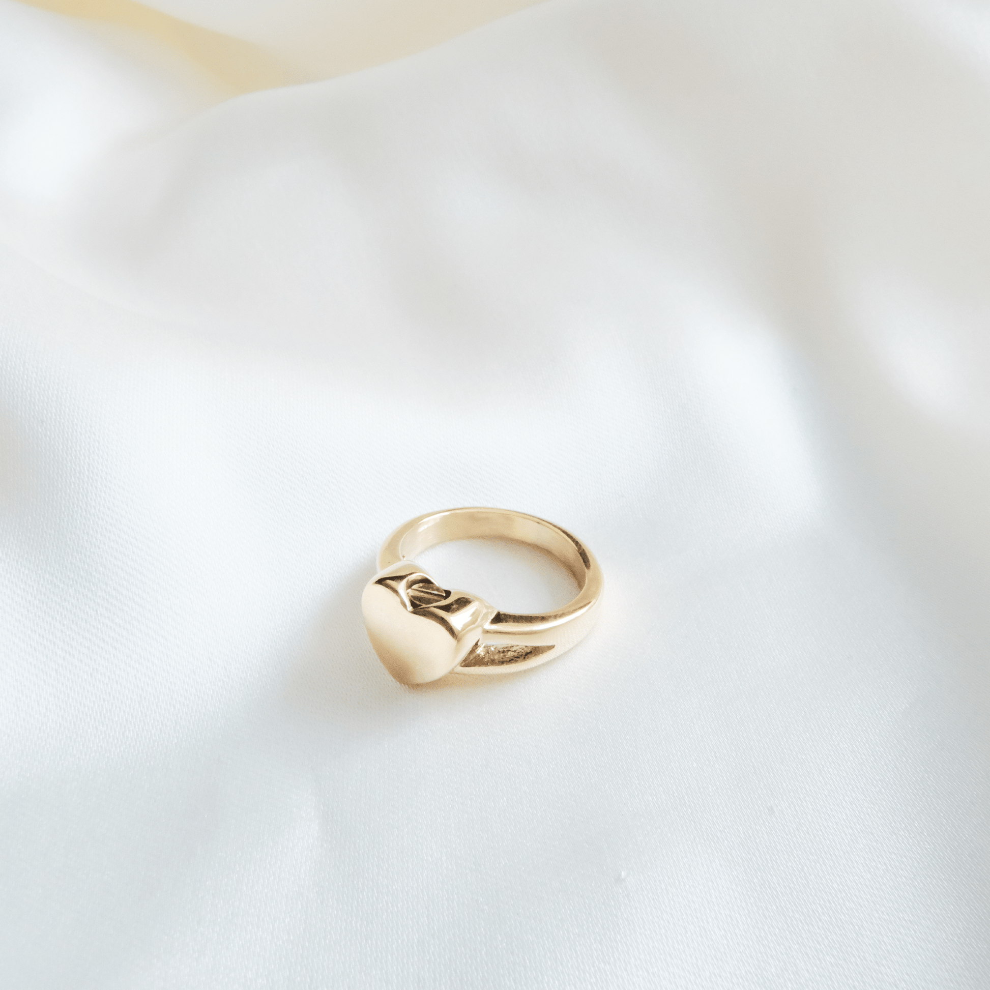 Ashes Ring Heart Stainless Steel Gold & Silver - Ashes Jewellery AE