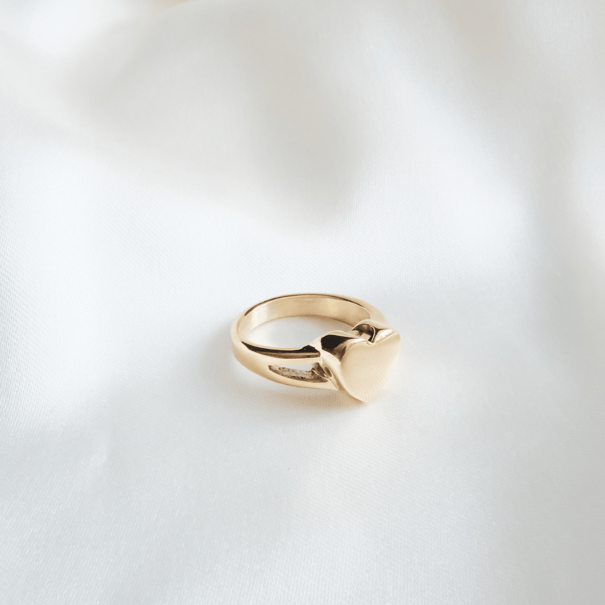 Ashes Ring Heart Stainless Steel Gold & Silver - Ashes Jewellery AE